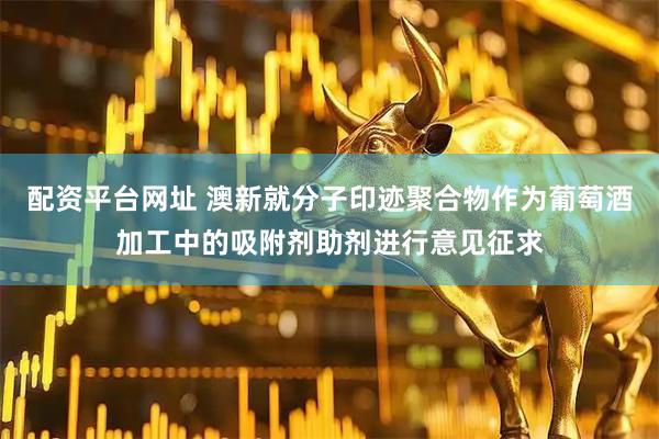 配资平台网址 澳新就分子印迹聚合物作为葡萄酒加工中的吸附剂助剂进行意见征求