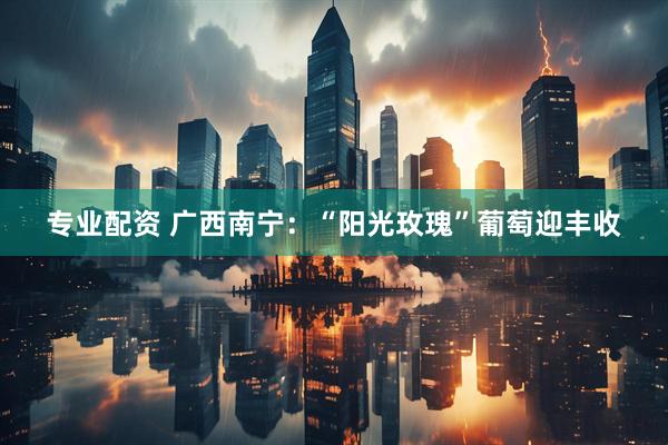 专业配资 广西南宁：“阳光玫瑰”葡萄迎丰收
